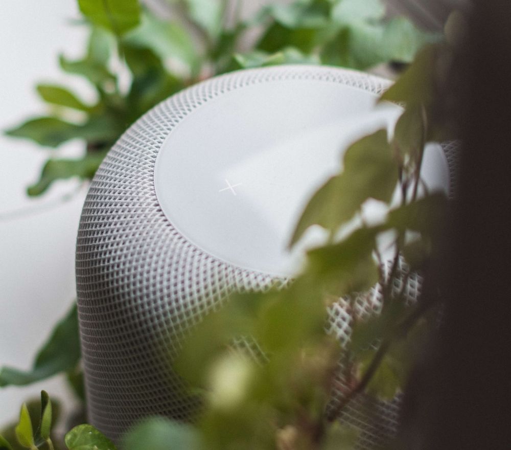 Apple Homepod picture in plant